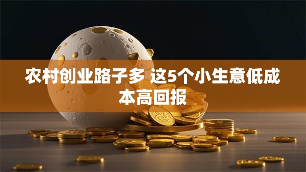 农村创业路子多 这5个小生意低成本高回报