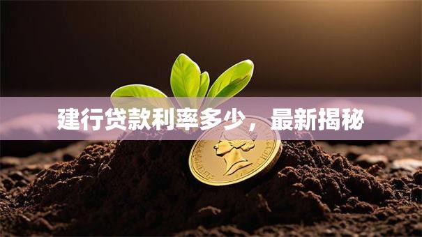 建行贷款利率多少，最新揭秘