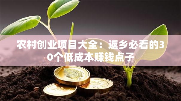 农村创业项目大全：返乡必看的30个低成本赚钱点子