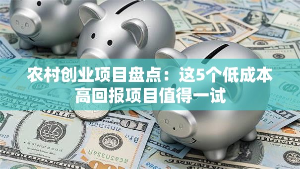 农村创业项目盘点：这5个低成本高回报项目值得一试