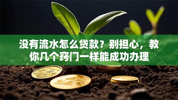 没有流水怎么贷款？别担心，教你几个窍门一样能成功办理