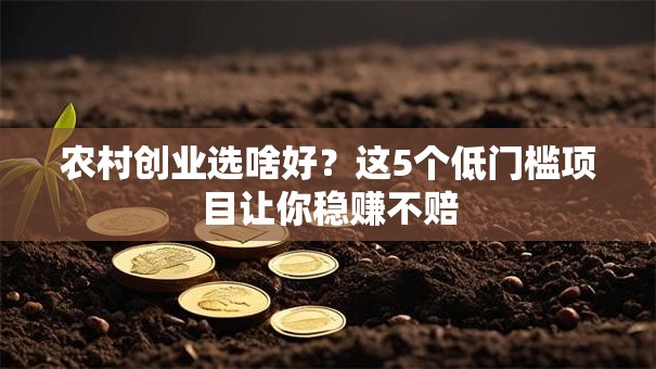农村创业选啥好？这5个低门槛项目让你稳赚不赔