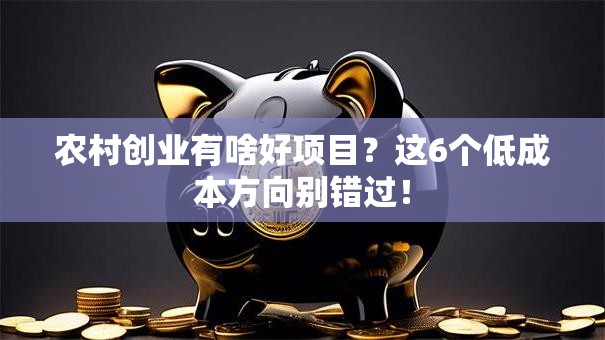 农村创业有啥好项目？这6个低成本方向别错过！