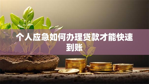 个人应急如何办理贷款才能快速到账