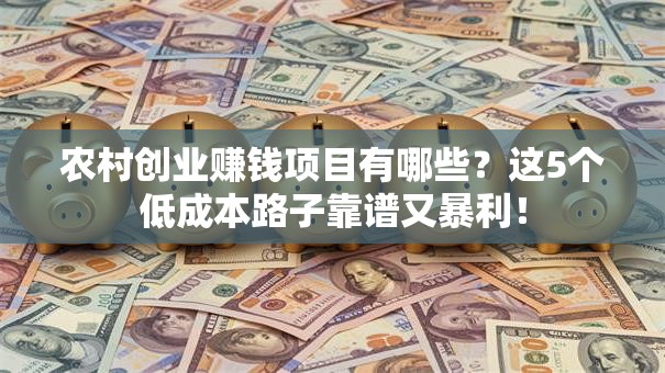 农村创业赚钱项目有哪些？这5个低成本路子靠谱又暴利！