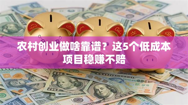 农村创业做啥靠谱？这5个低成本项目稳赚不赔