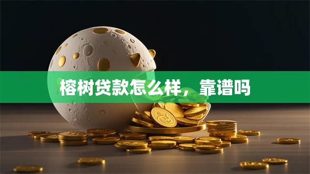榕树贷款怎么样，靠谱吗