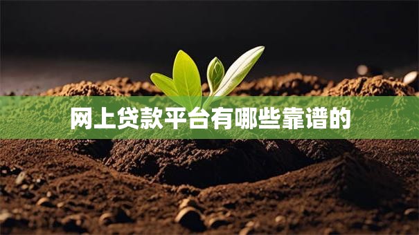 网上贷款平台有哪些靠谱的