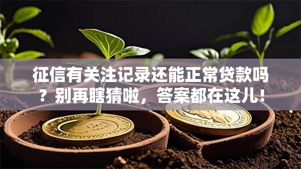 征信有关注记录还能正常贷款吗？别再瞎猜啦，答案都在这儿！