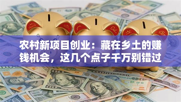 农村新项目创业：藏在乡土的赚钱机会，这几个点子千万别错过！
