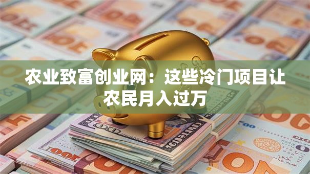 农业致富创业网：这些冷门项目让农民月入过万