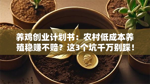 养鸡创业计划书：农村低成本养殖稳赚不赔？这3个坑千万别踩！