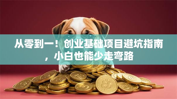 从零到一!创业基础项目避坑指南,小白也能少走弯路 从零到一!创业基础项目避坑指南,小白也能少走弯路