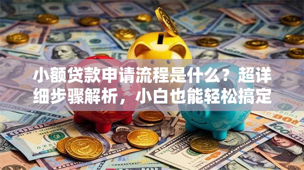 小额贷款申请流程是什么？超详细步骤解析，小白也能轻松搞定
