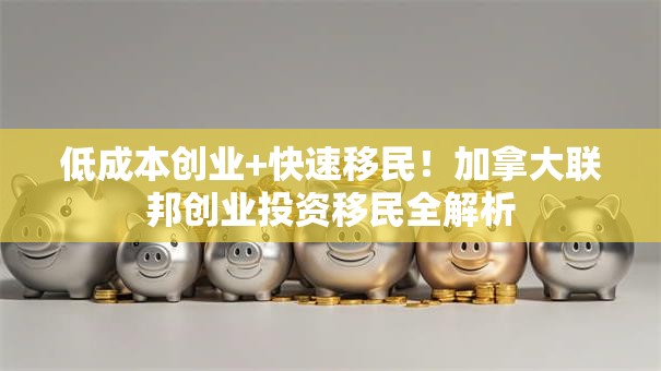 低成本创业+快速移民！加拿大联邦创业投资移民全解析