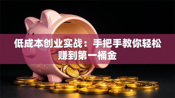 低成本创业实战：手把手教你轻松赚到第一桶金
