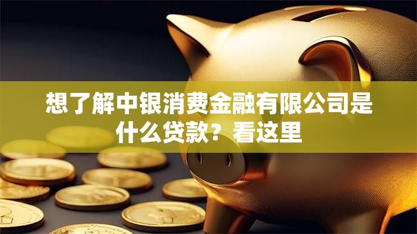 想了解中银消费金融有限公司是什么贷款？看这里
