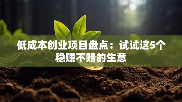 低成本创业项目盘点：试试这5个稳赚不赔的生意