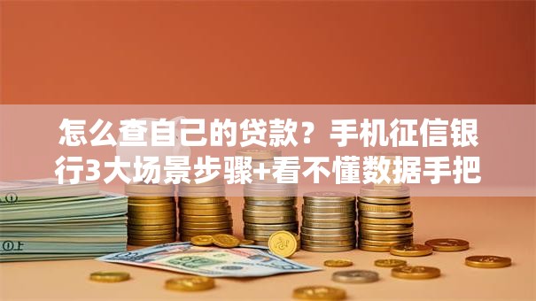 怎么查自己的贷款？手机征信银行3大场景步骤+看不懂数据手把手教