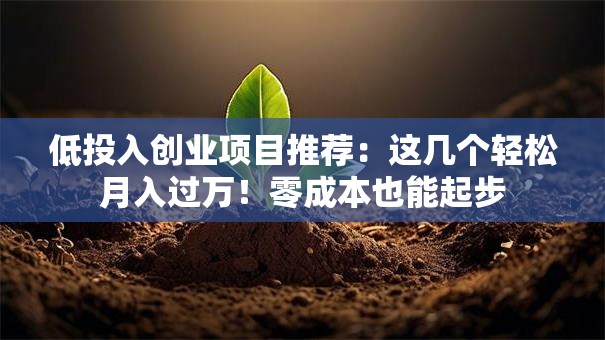 低投入创业项目推荐：这几个轻松月入过万！零成本也能起步
