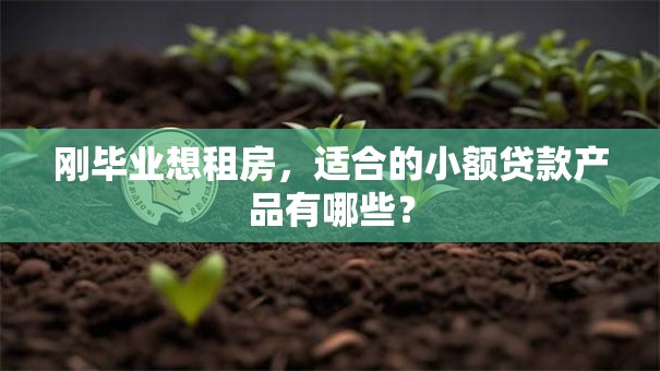 刚毕业想租房，适合的小额贷款产品有哪些？