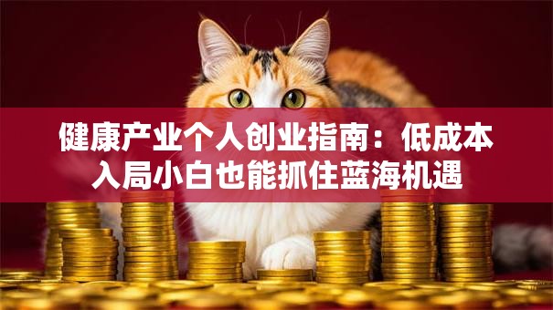 健康产业个人创业指南：低成本入局小白也能抓住蓝海机遇