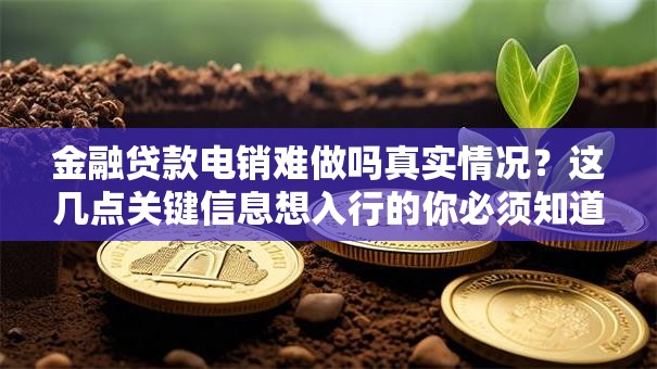 金融贷款电销难做吗真实情况？这几点关键信息想入行的你必须知道