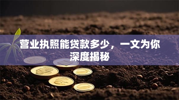 营业执照能贷款多少，一文为你深度揭秘