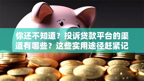 你还不知道？投诉贷款平台的渠道有哪些？这些实用途径赶紧记好！