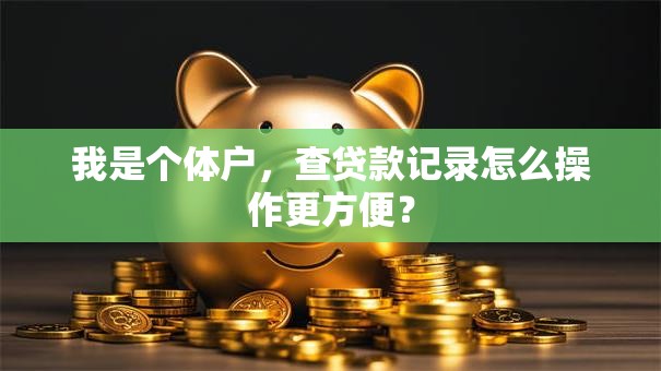 我是个体户，查贷款记录怎么操作更方便？