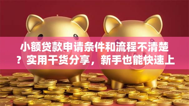 小额贷款申请条件和流程不清楚？实用干货分享，新手也能快速上手！