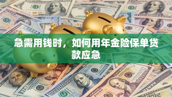 急需用钱时，如何用年金险保单贷款应急