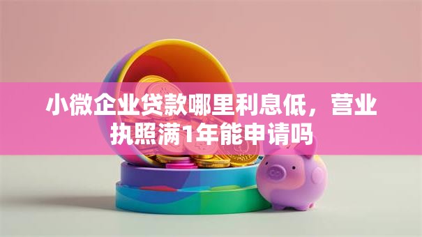 小微企业贷款哪里利息低，营业执照满1年能申请吗
