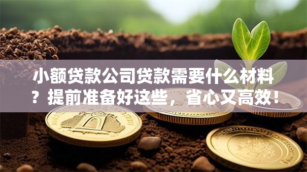 小额贷款公司贷款需要什么材料？提前准备好这些，省心又高效！