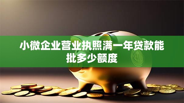 小微企业营业执照满一年贷款能批多少额度