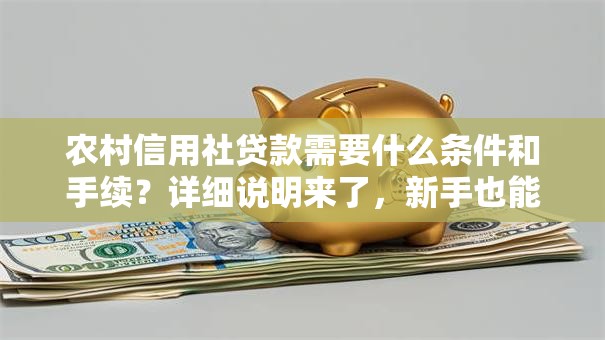 农村信用社贷款需要什么条件和手续？详细说明来了，新手也能快速弄明白！
