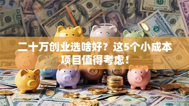 二十万创业选啥好？这5个小成本项目值得考虑！