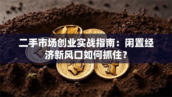 二手市场创业实战指南：闲置经济新风口如何抓住？