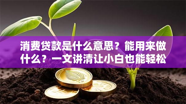 消费贷款是什么意思？能用来做什么？一文讲清让小白也能轻松搞明白