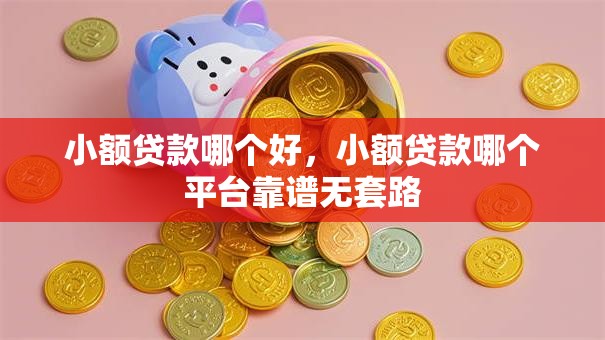 小额贷款哪个好，小额贷款哪个平台靠谱无套路