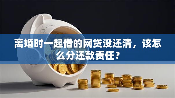 离婚时一起借的网贷没还清，该怎么分还款责任？
