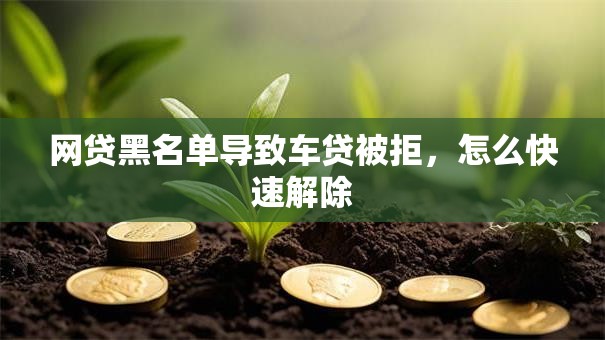 网贷黑名单导致车贷被拒，怎么快速解除
