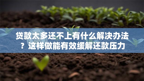 贷款太多还不上有什么解决办法？这样做能有效缓解还款压力