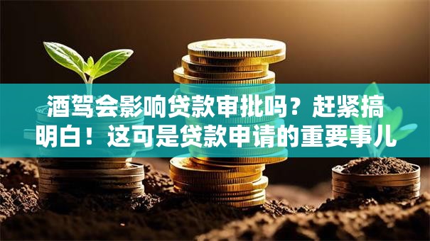 酒驾会影响贷款审批吗？赶紧搞明白！这可是贷款申请的重要事儿