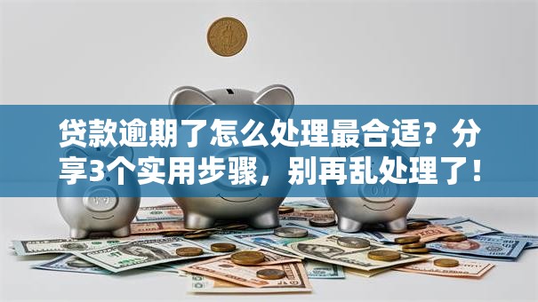 贷款逾期了怎么处理最合适？分享3个实用步骤，别再乱处理了！