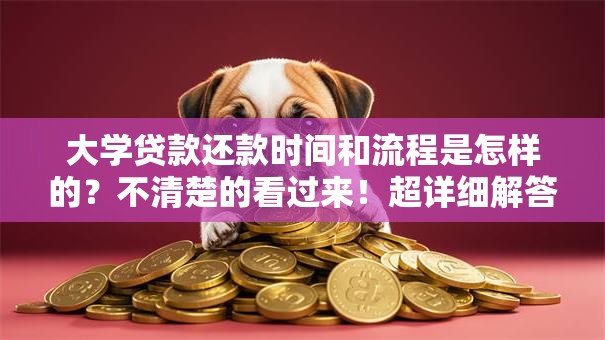 大学贷款还款时间和流程是怎样的？不清楚的看过来！超详细解答帮你搞定
