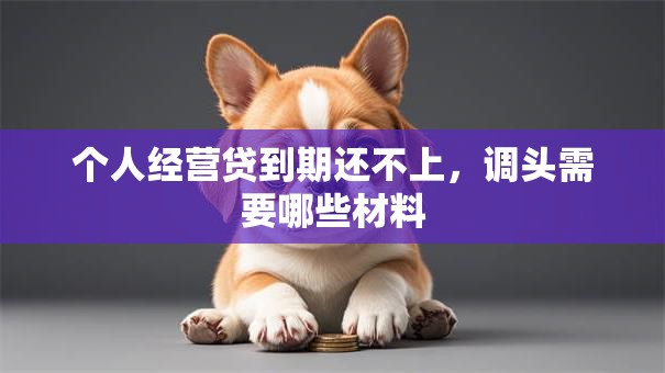 个人经营贷到期还不上，调头需要哪些材料