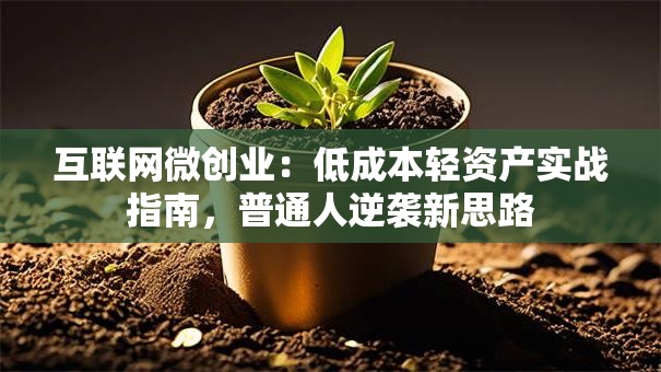 互联网微创业：低成本轻资产实战指南，普通人逆袭新思路
