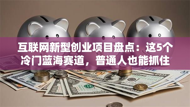 互联网新型创业项目盘点：这5个冷门蓝海赛道，普通人也能抓住暴利机会！