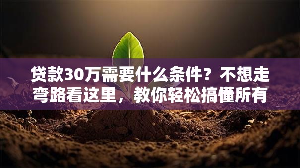 贷款30万需要什么条件？不想走弯路看这里，教你轻松搞懂所有要求